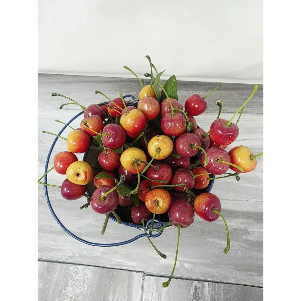 Artificial Cherries Fruit Decor Photo Props Red Blue Metal Pail VINTAGE Granny
